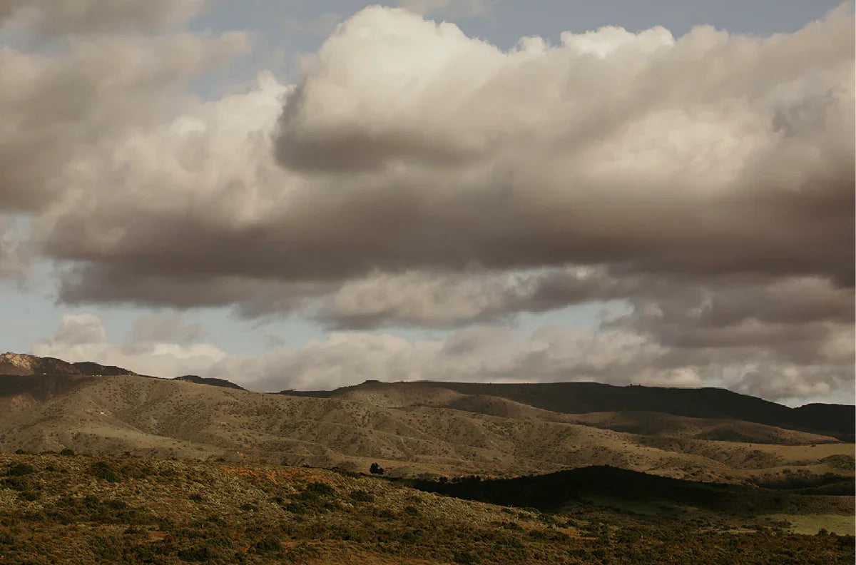 Caspers Wilderness, Three