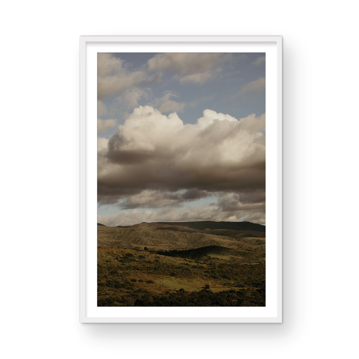 Caspers Wilderness, Four