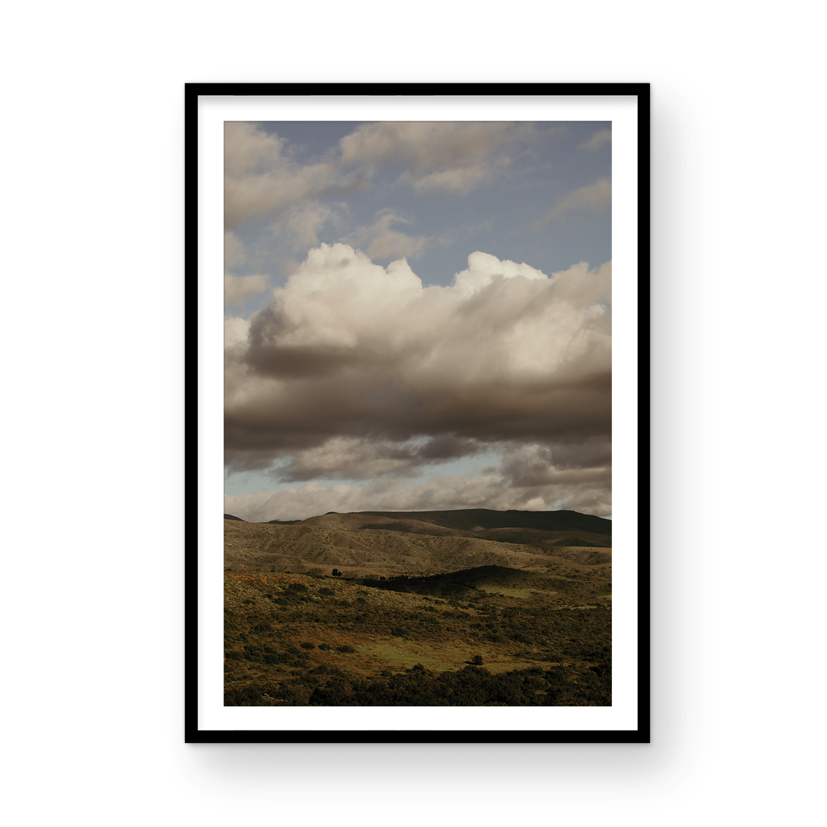 Caspers Wilderness, Four