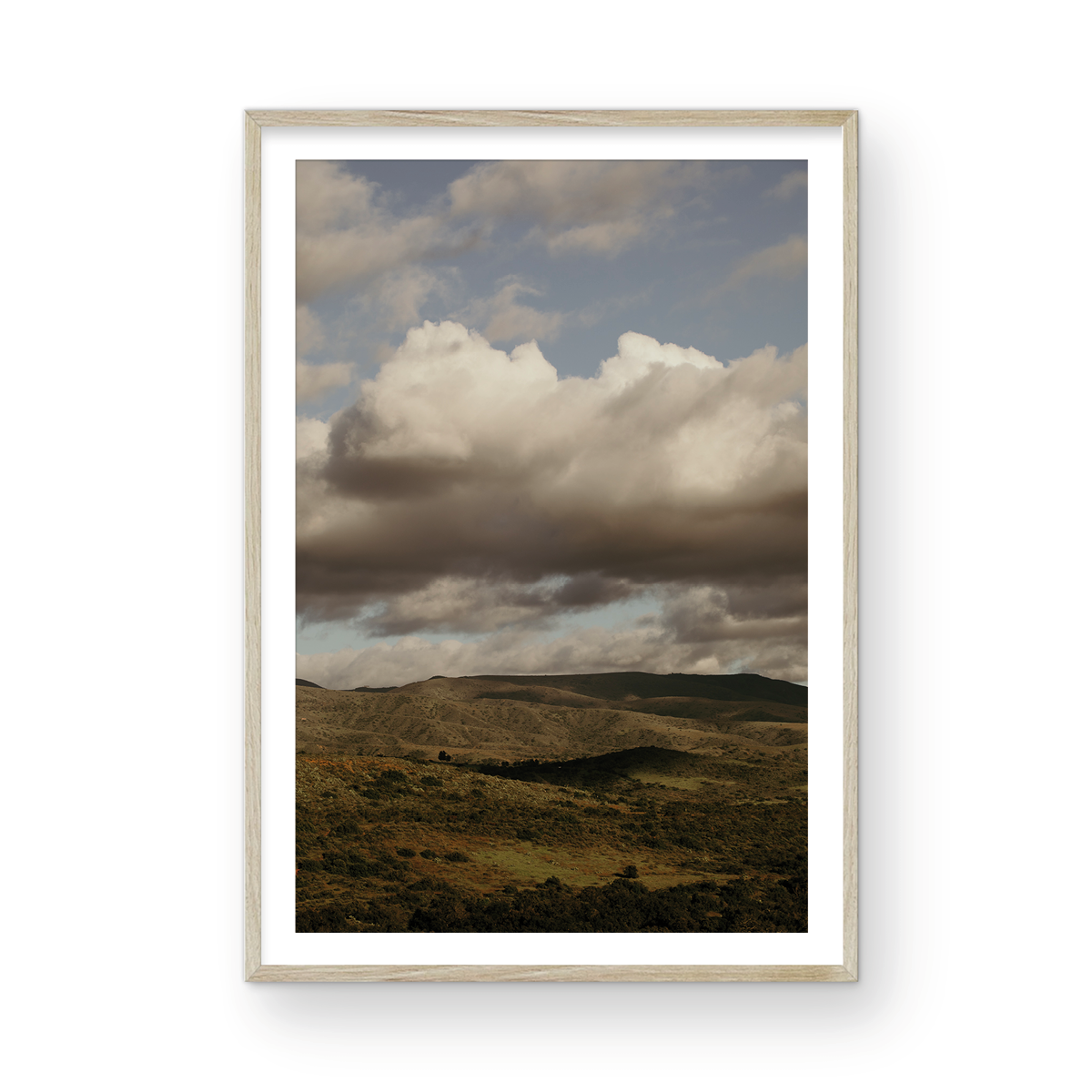 Caspers Wilderness, Four