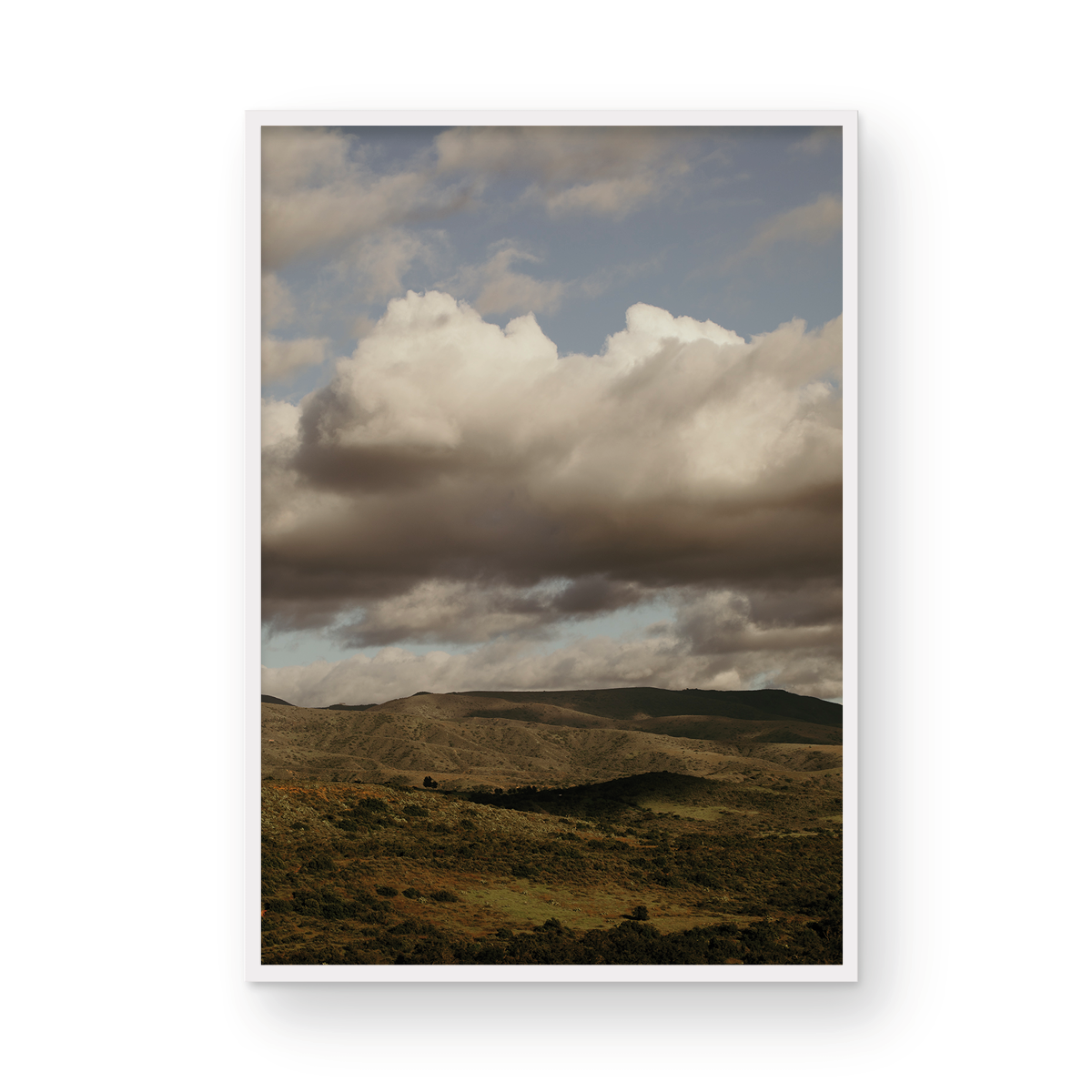 Caspers Wilderness, Four