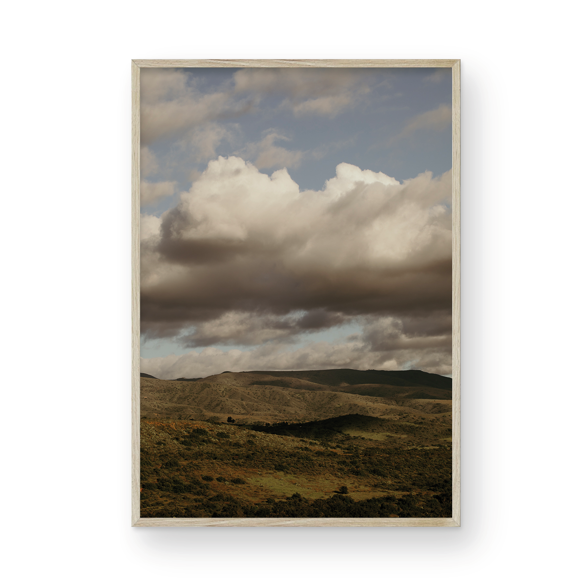 Caspers Wilderness, Four