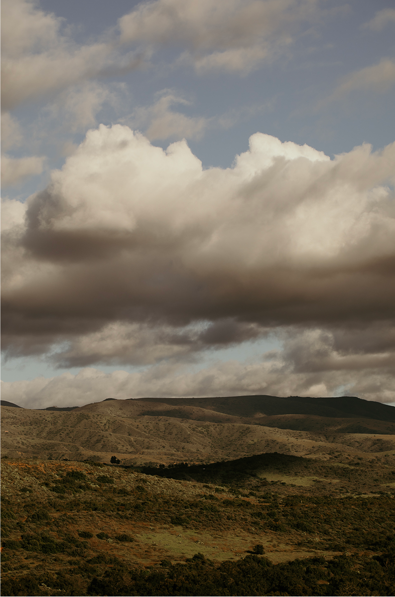 Caspers Wilderness, Four