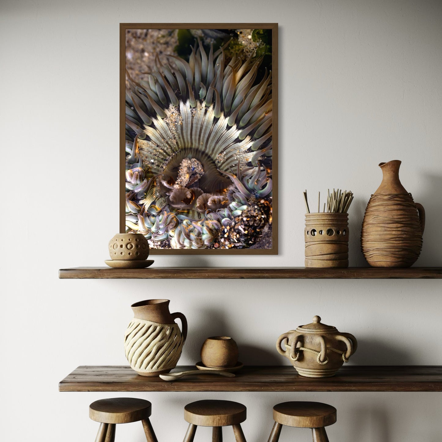 Anemone, Three