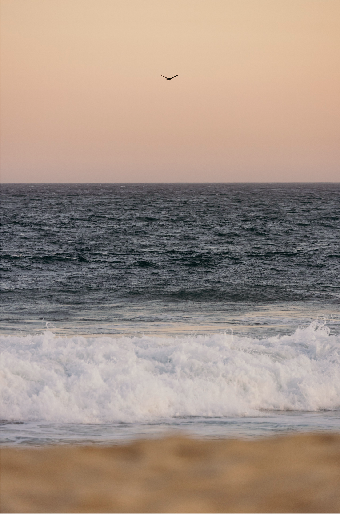 Sunset on the Pacific