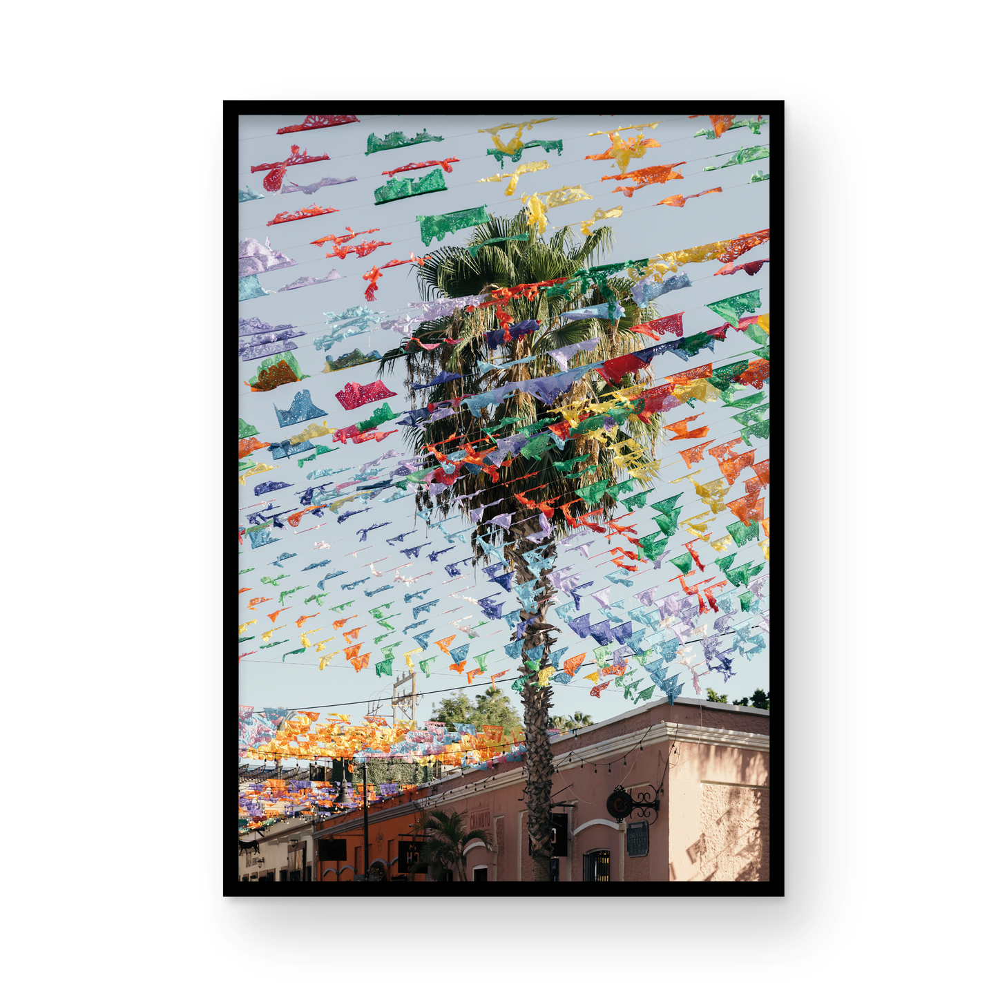 San Jose del Cabo, Three