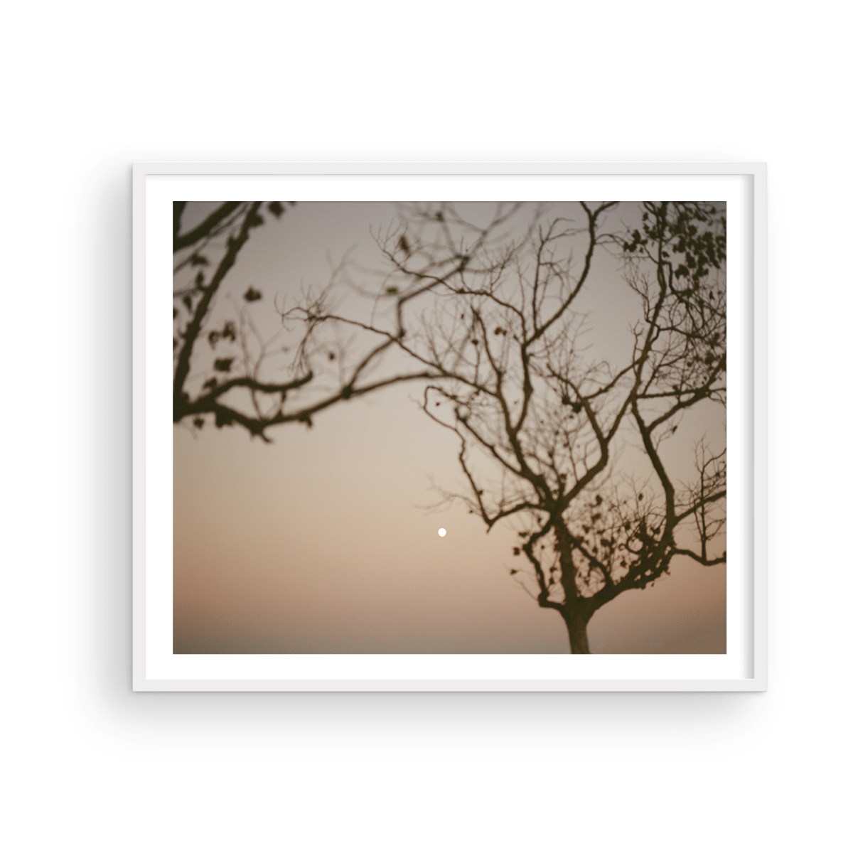Moonrise behind San Clemente
