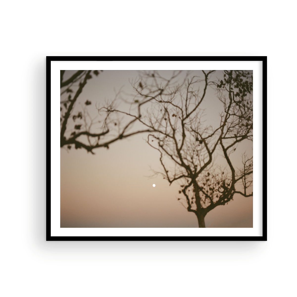 Moonrise behind San Clemente