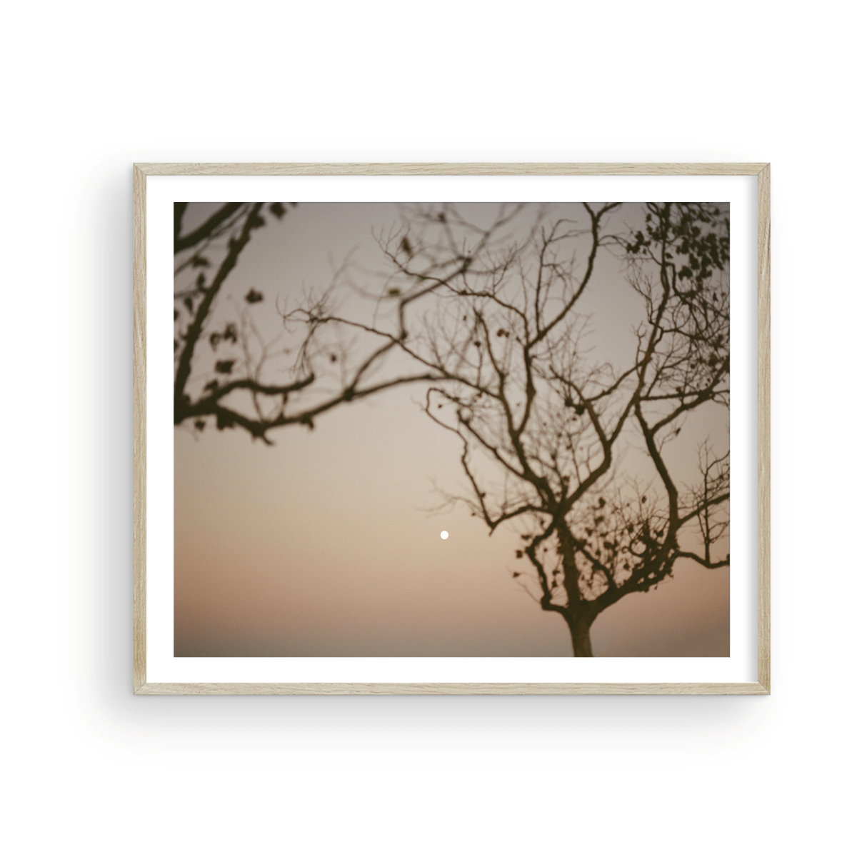 Moonrise behind San Clemente