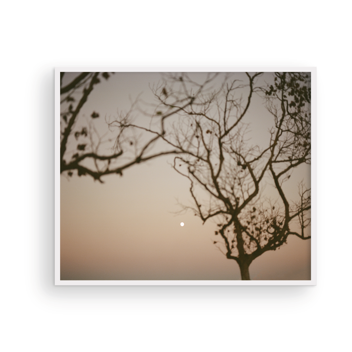 Moonrise behind San Clemente