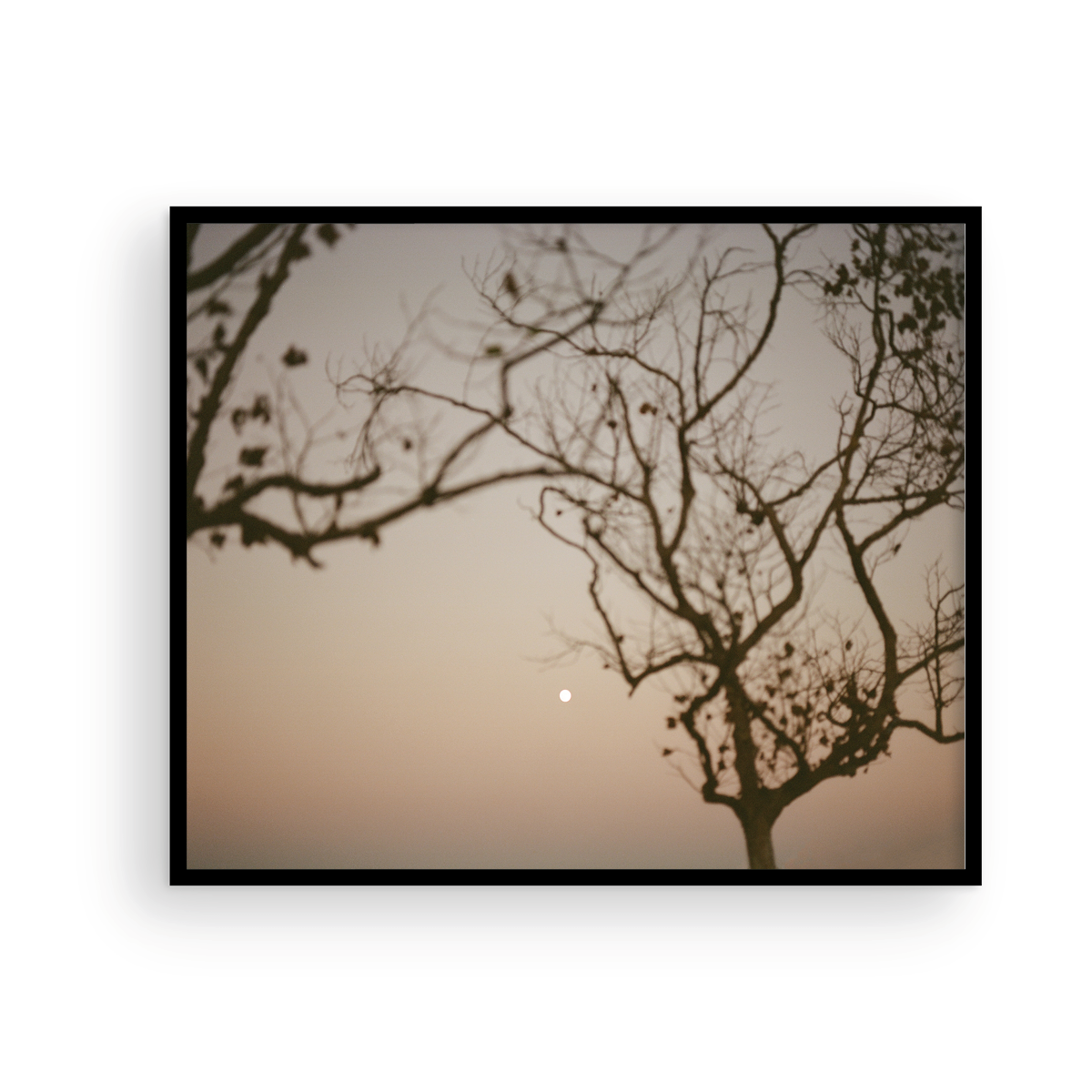 Moonrise behind San Clemente