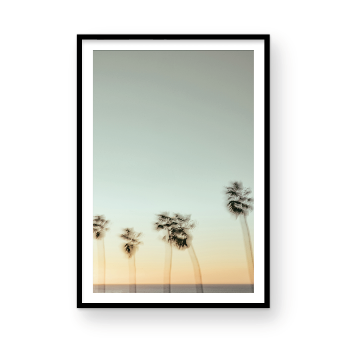 La Jolla Cove, Eight