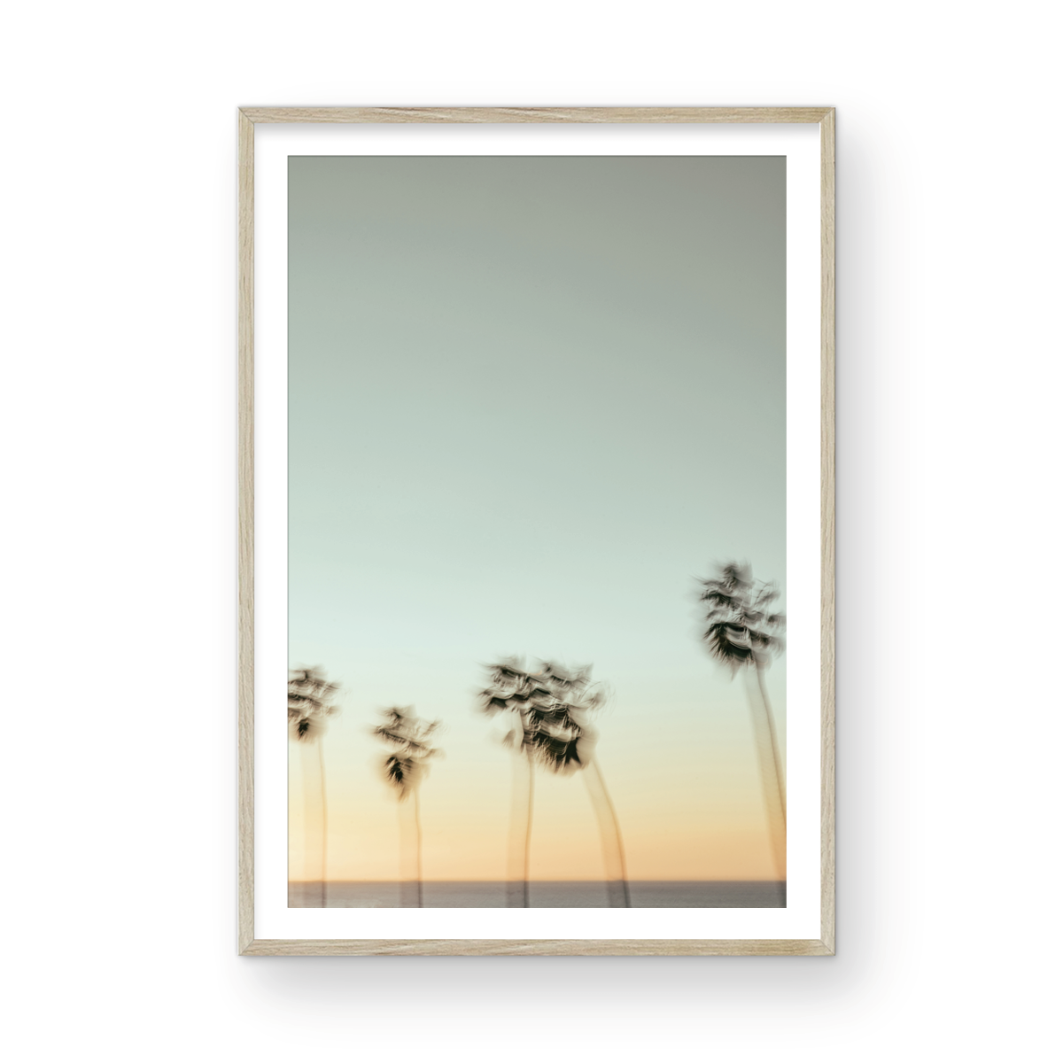 La Jolla Cove, Eight
