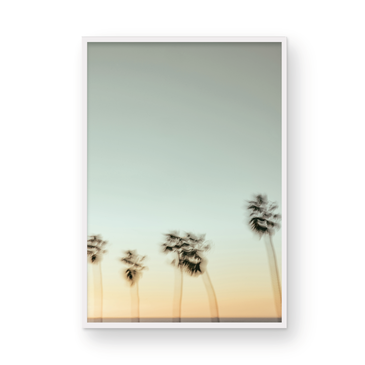 La Jolla Cove, Eight