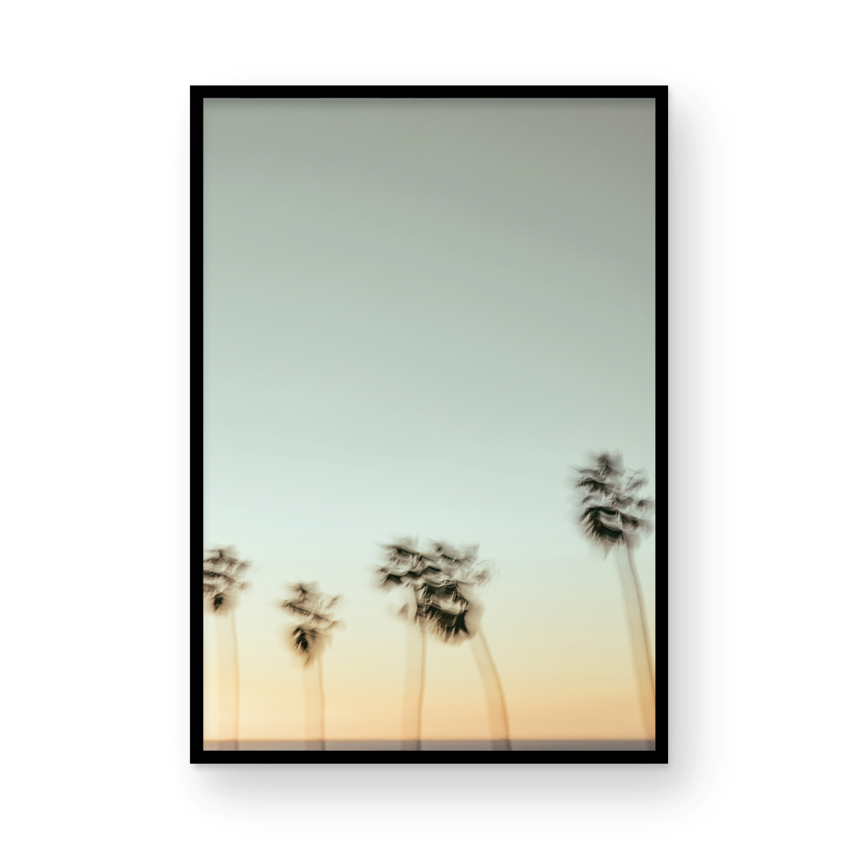 La Jolla Cove, Eight
