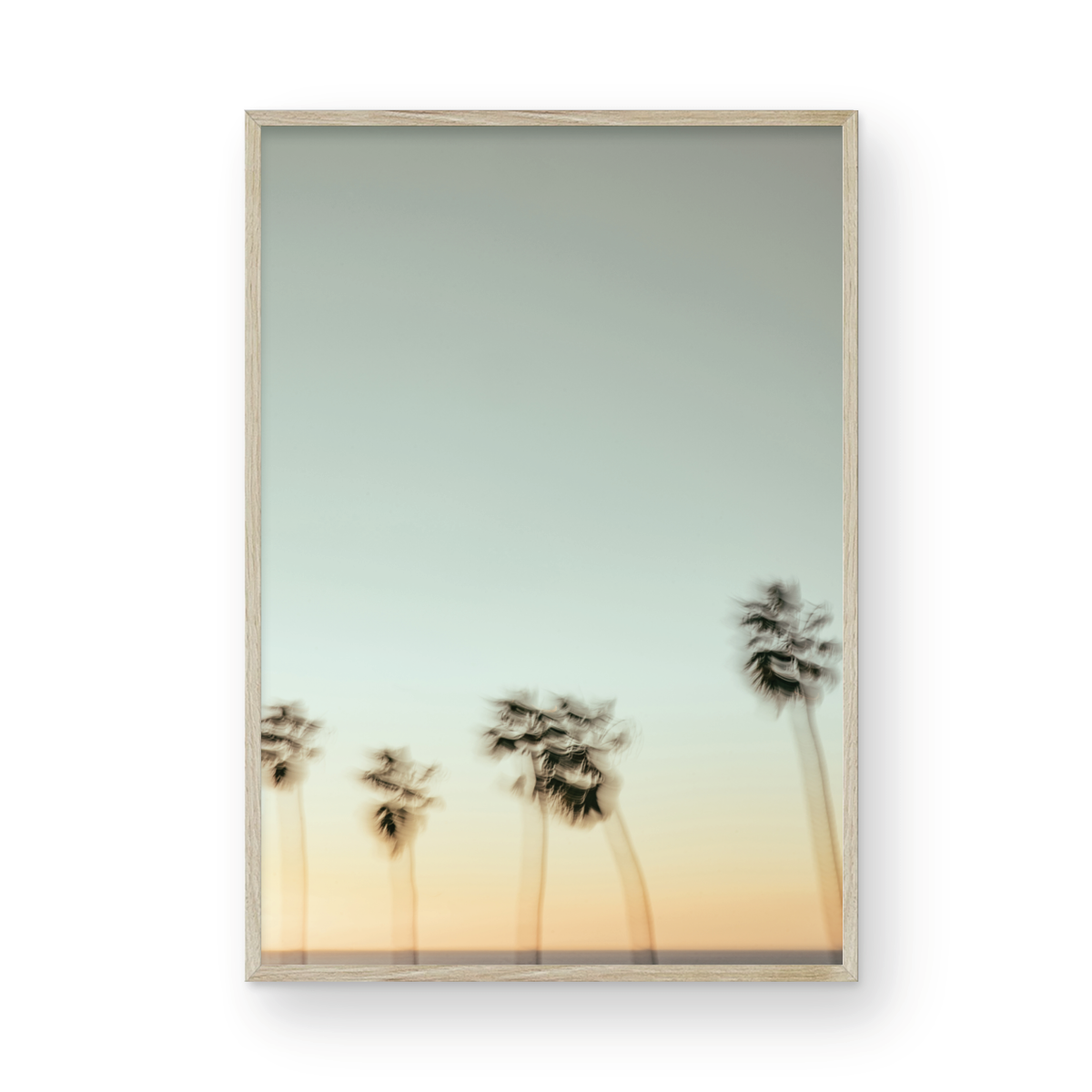 La Jolla Cove, Eight