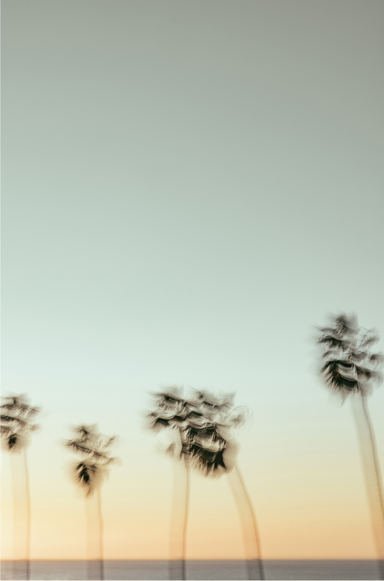 La Jolla Cove, Eight