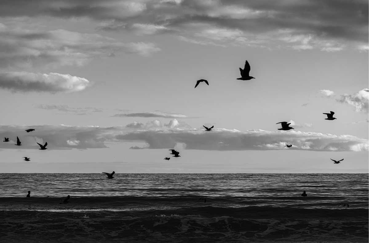 Doheny, Four