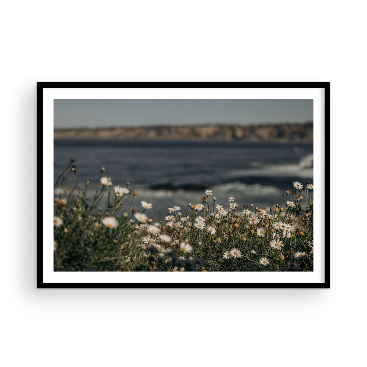 La Jolla Cove, Five