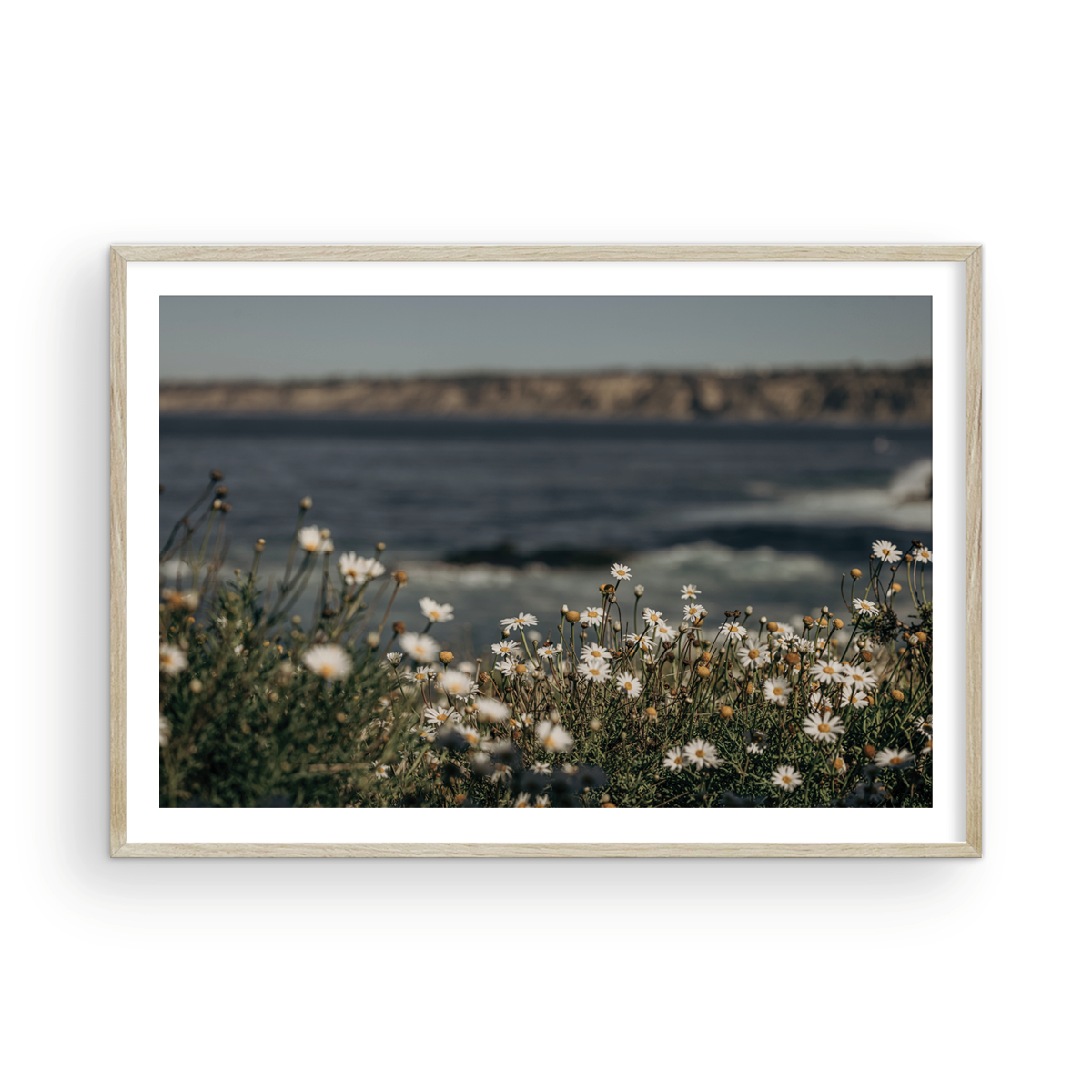 La Jolla Cove, Five