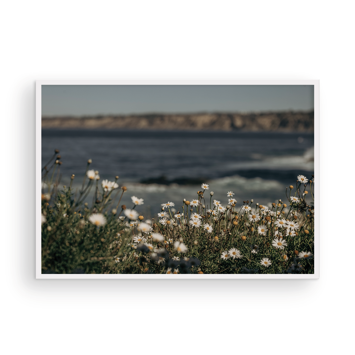 La Jolla Cove, Five