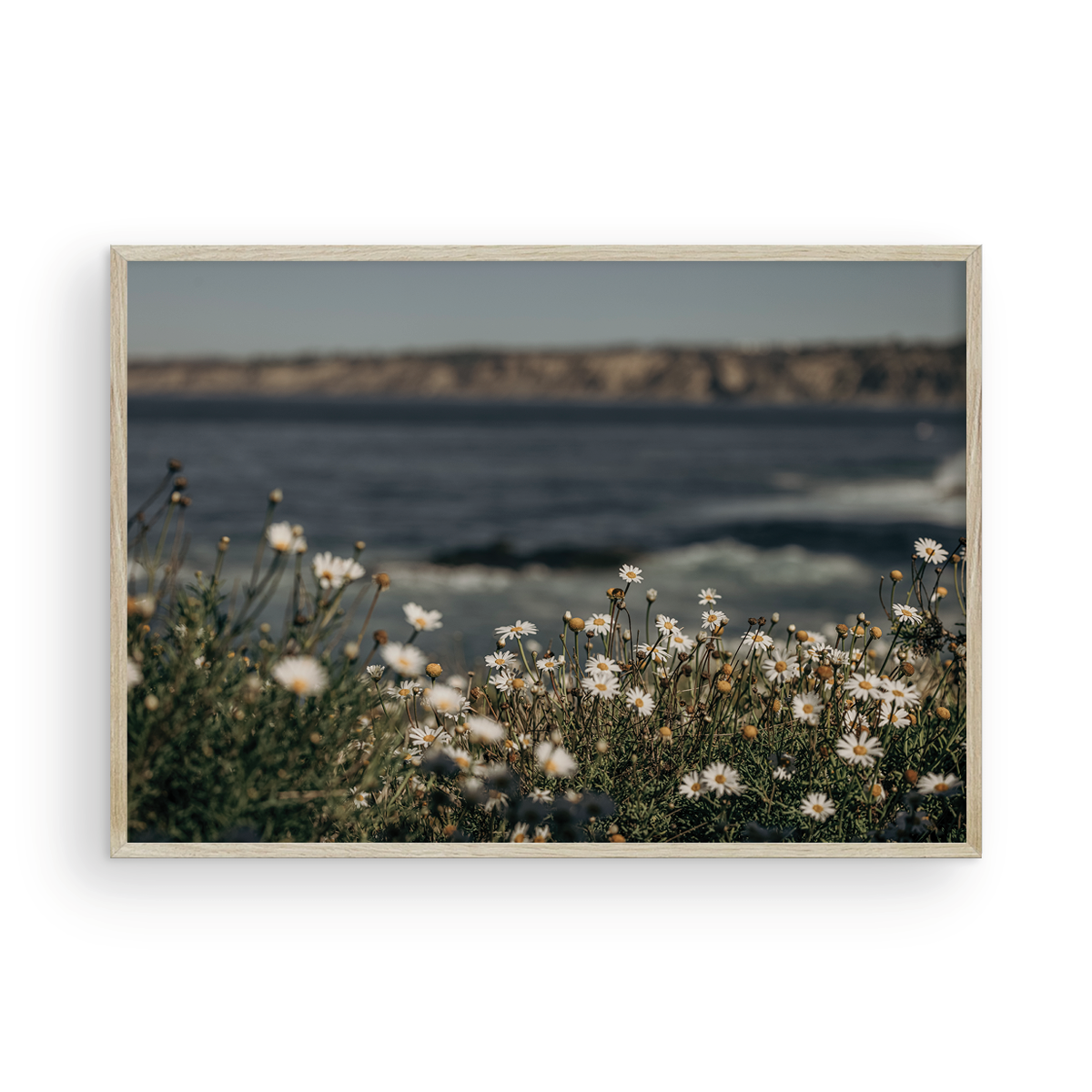 La Jolla Cove, Five