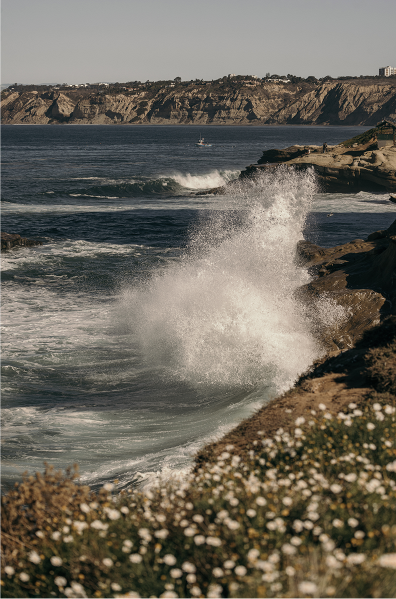 La Jolla Cove, Three