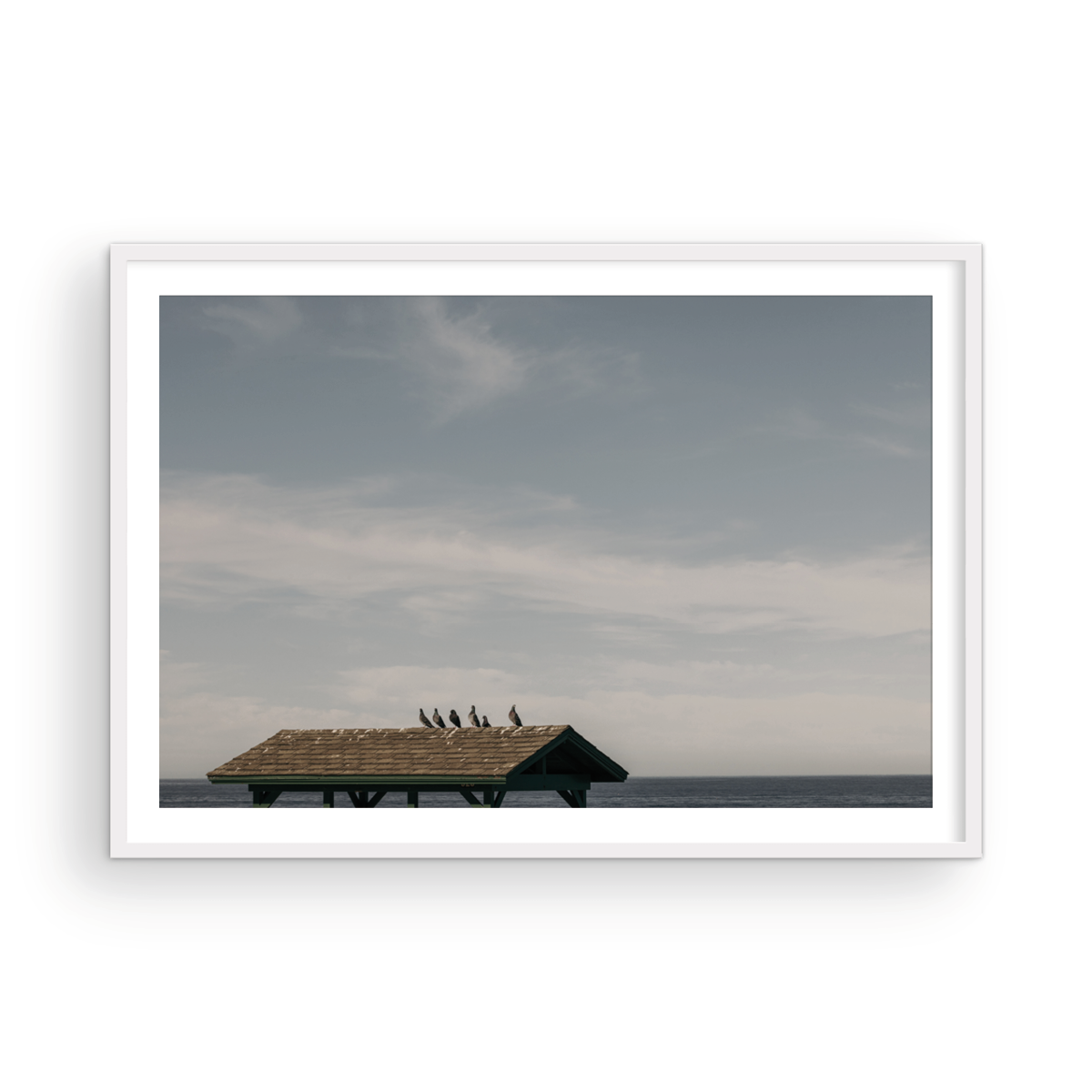 La Jolla Cove, Four