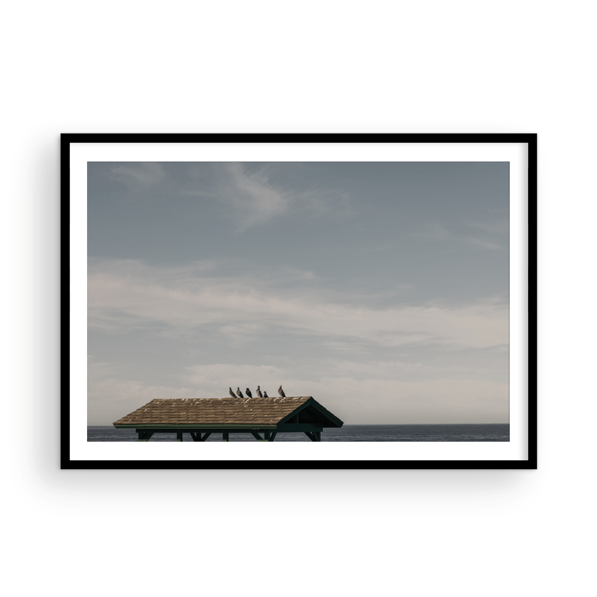 La Jolla Cove, Four