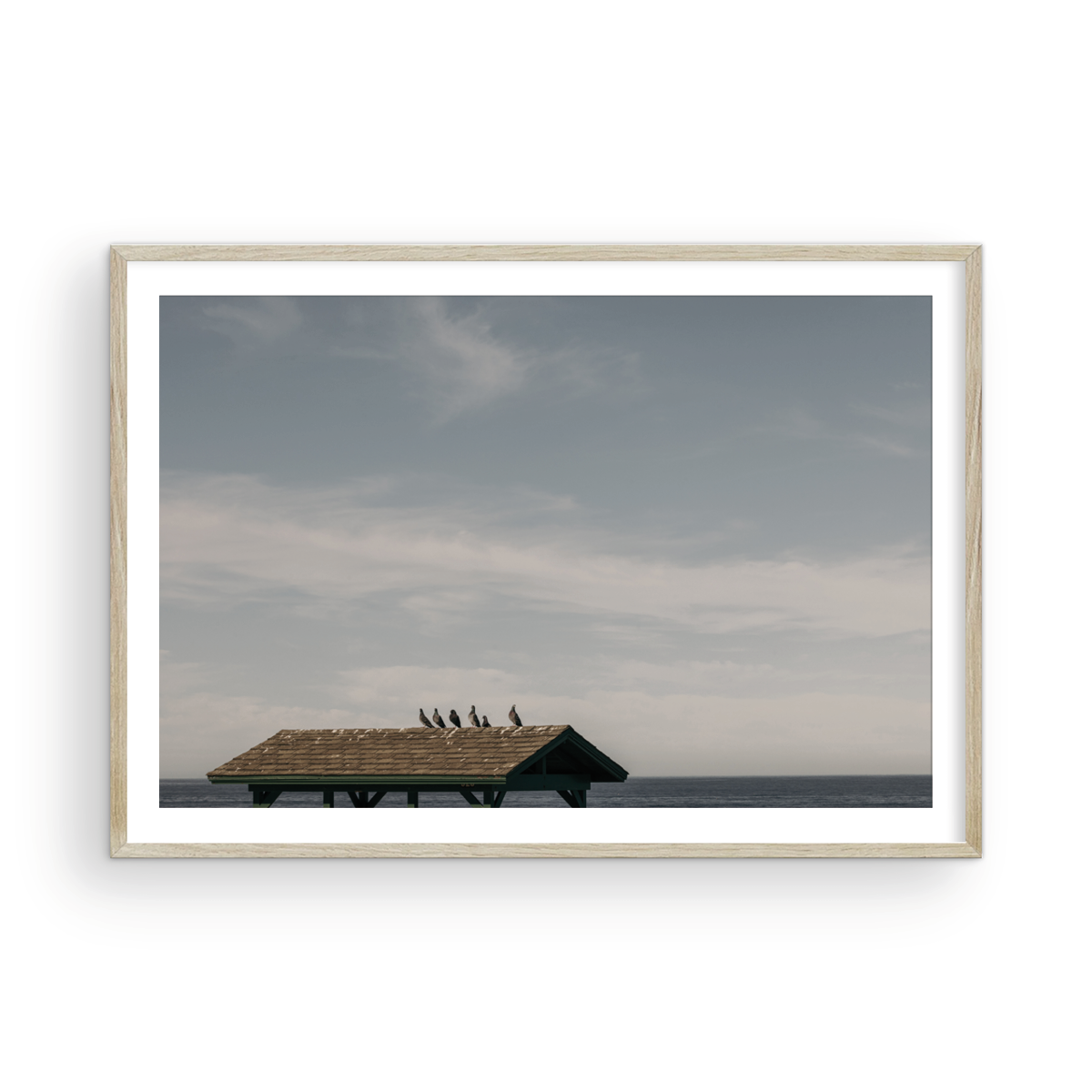 La Jolla Cove, Four