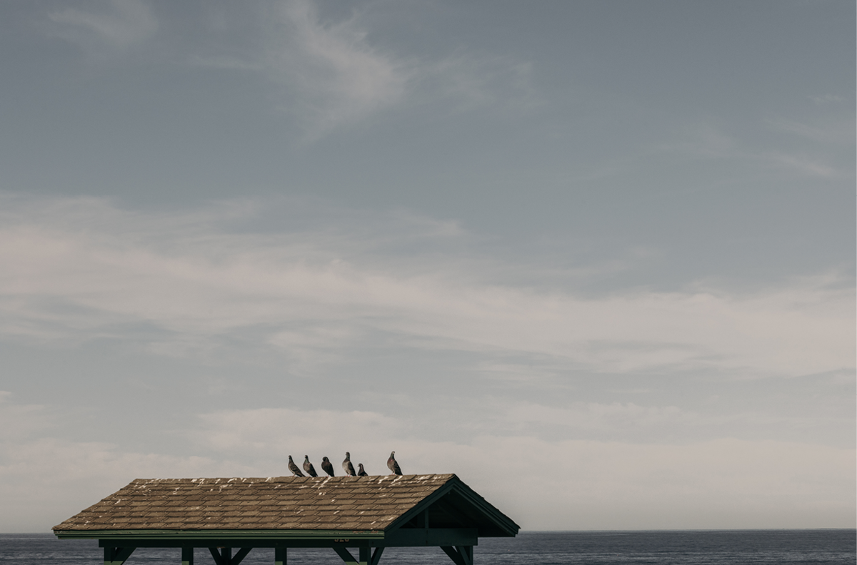 La Jolla Cove, Four