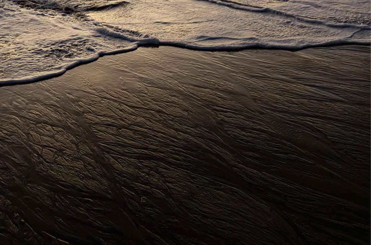 Low Tide, One