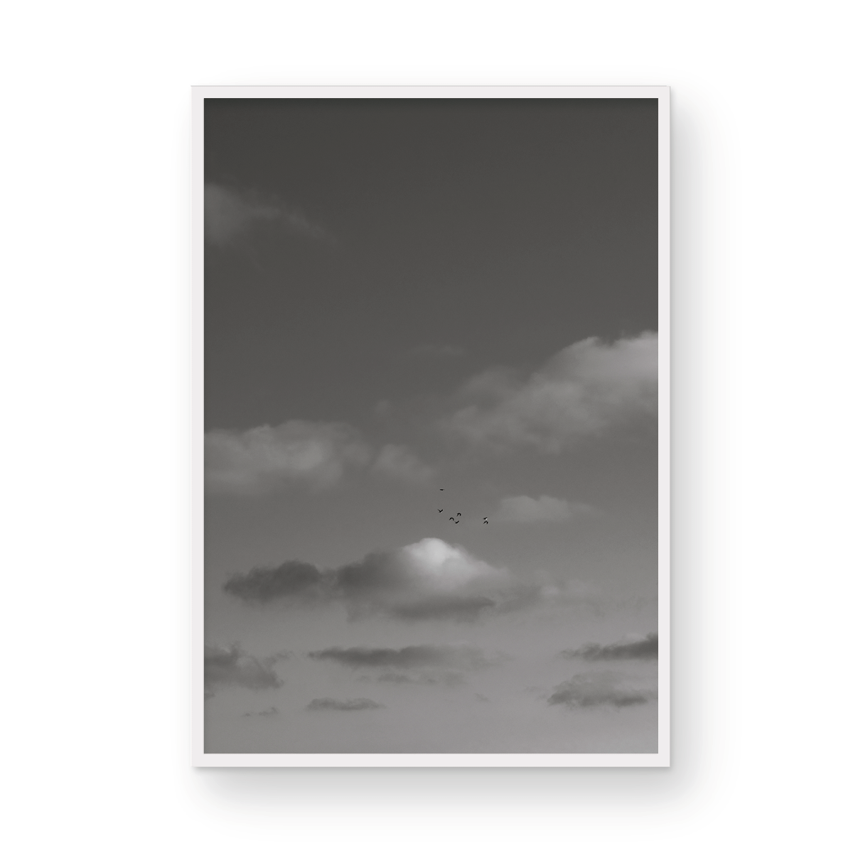 Cloud Study, Seven: Monochrome