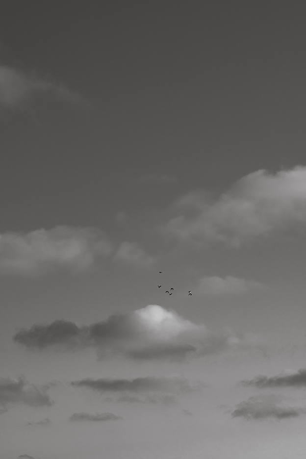 Cloud Study, Seven: Monochrome