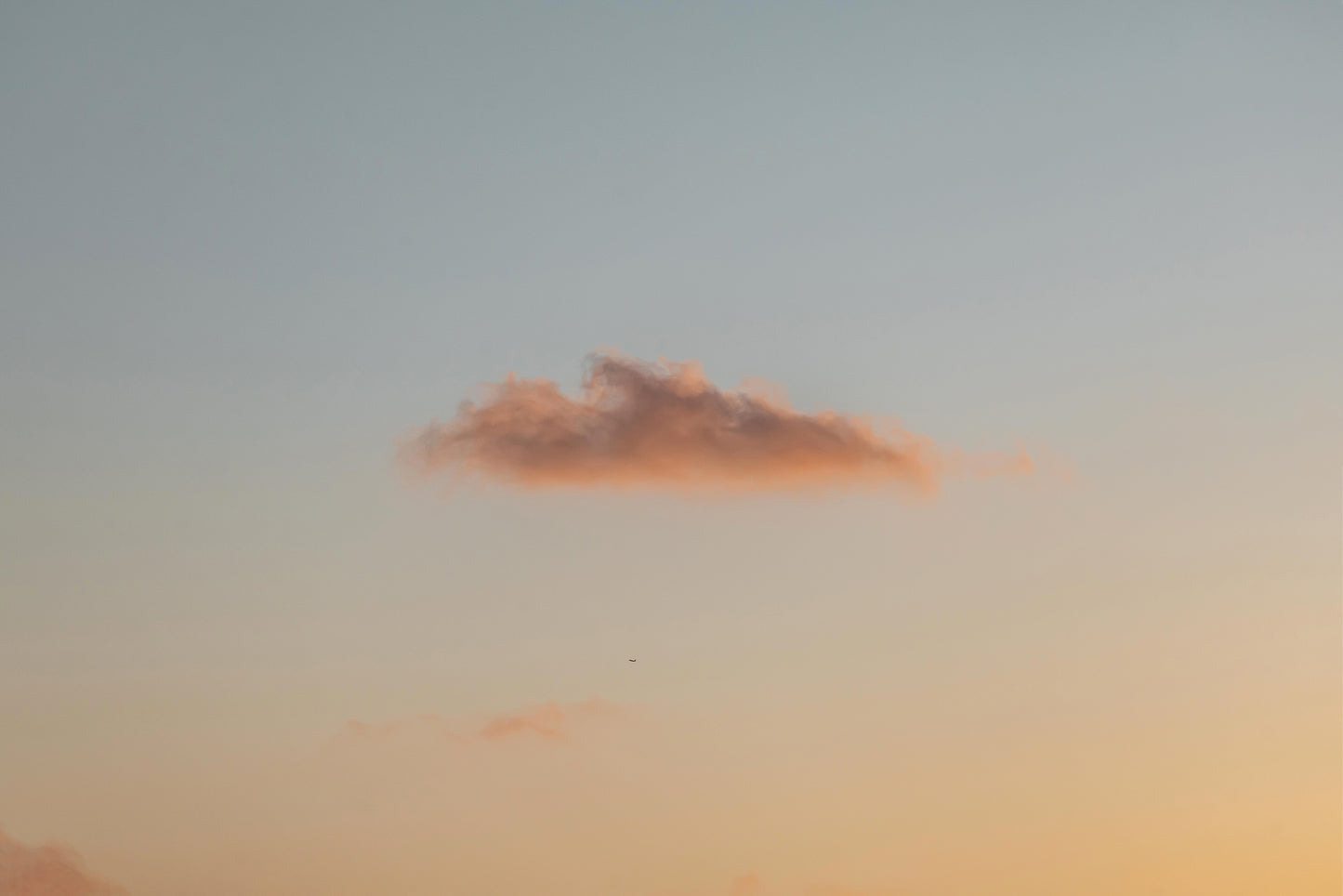 Fly South