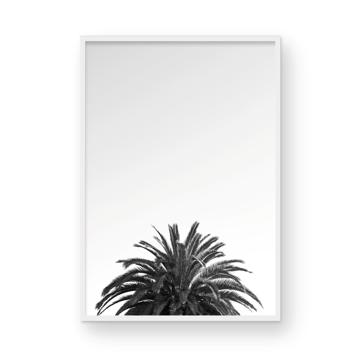 The Crown: Monochrome