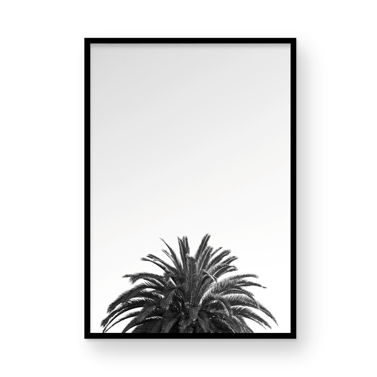 The Crown: Monochrome