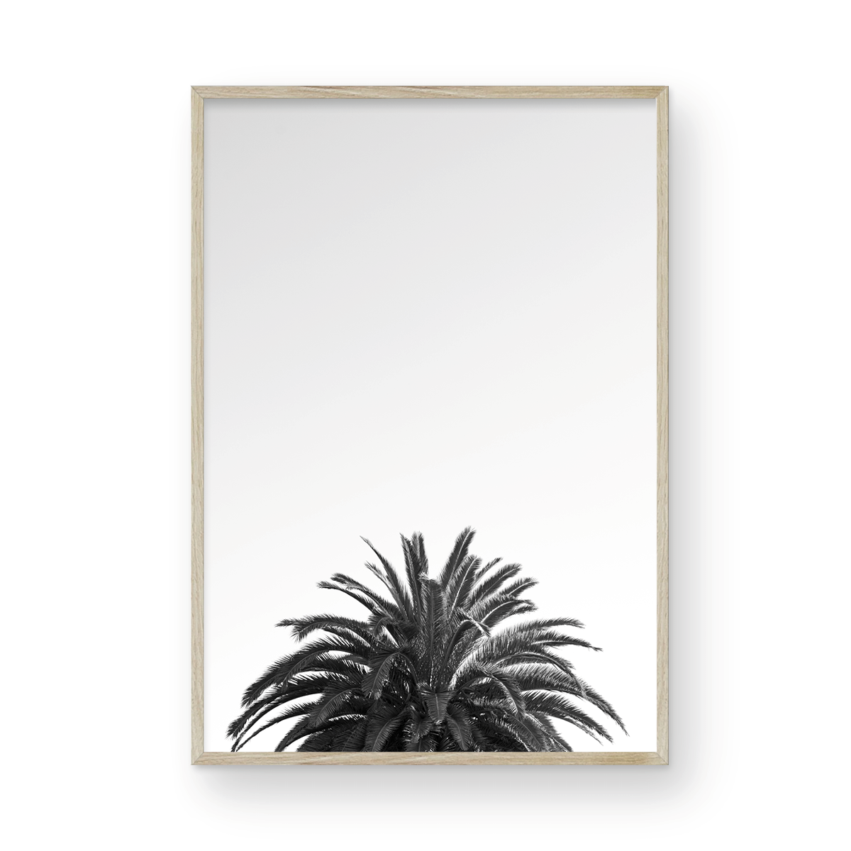 The Crown: Monochrome