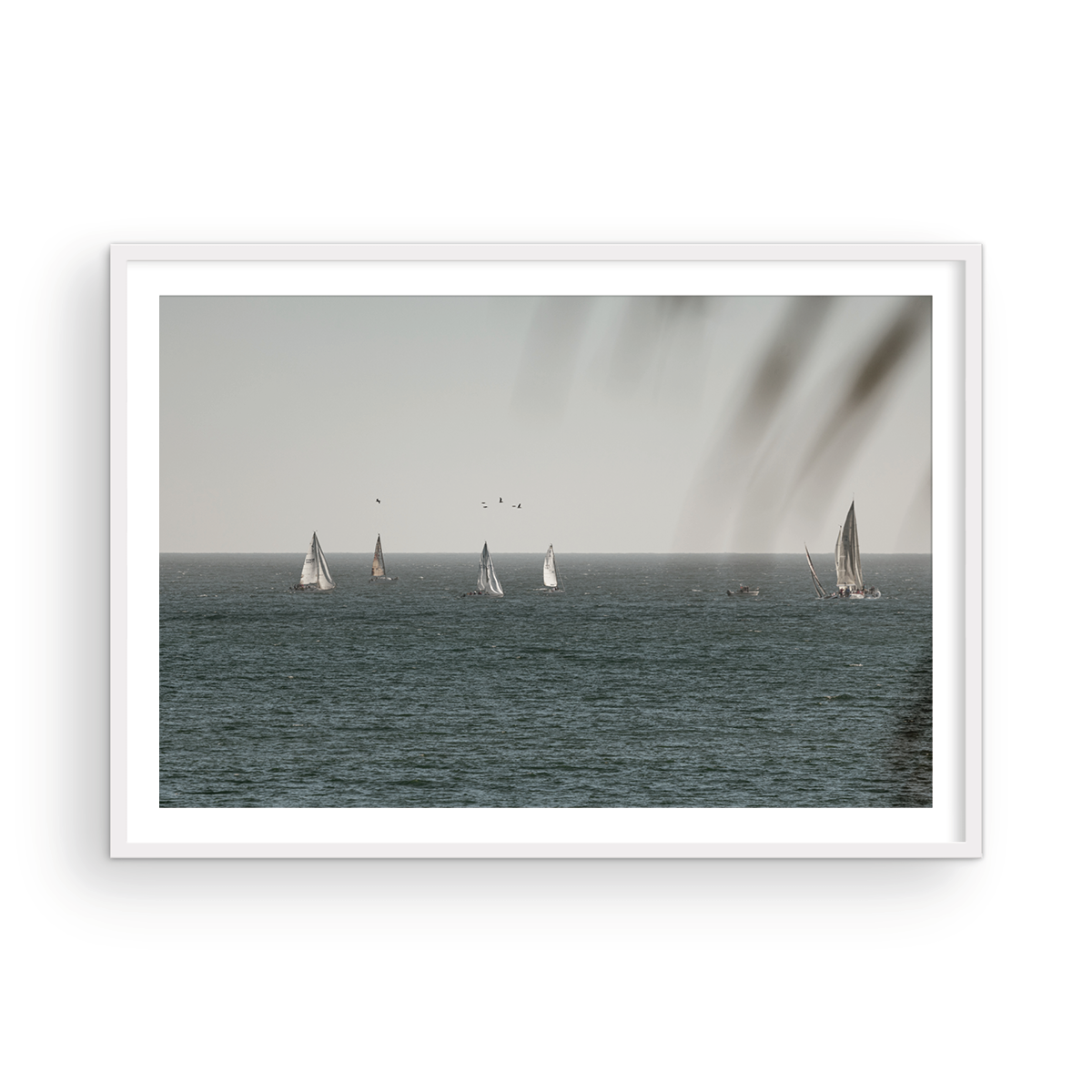 Dana Point, Three