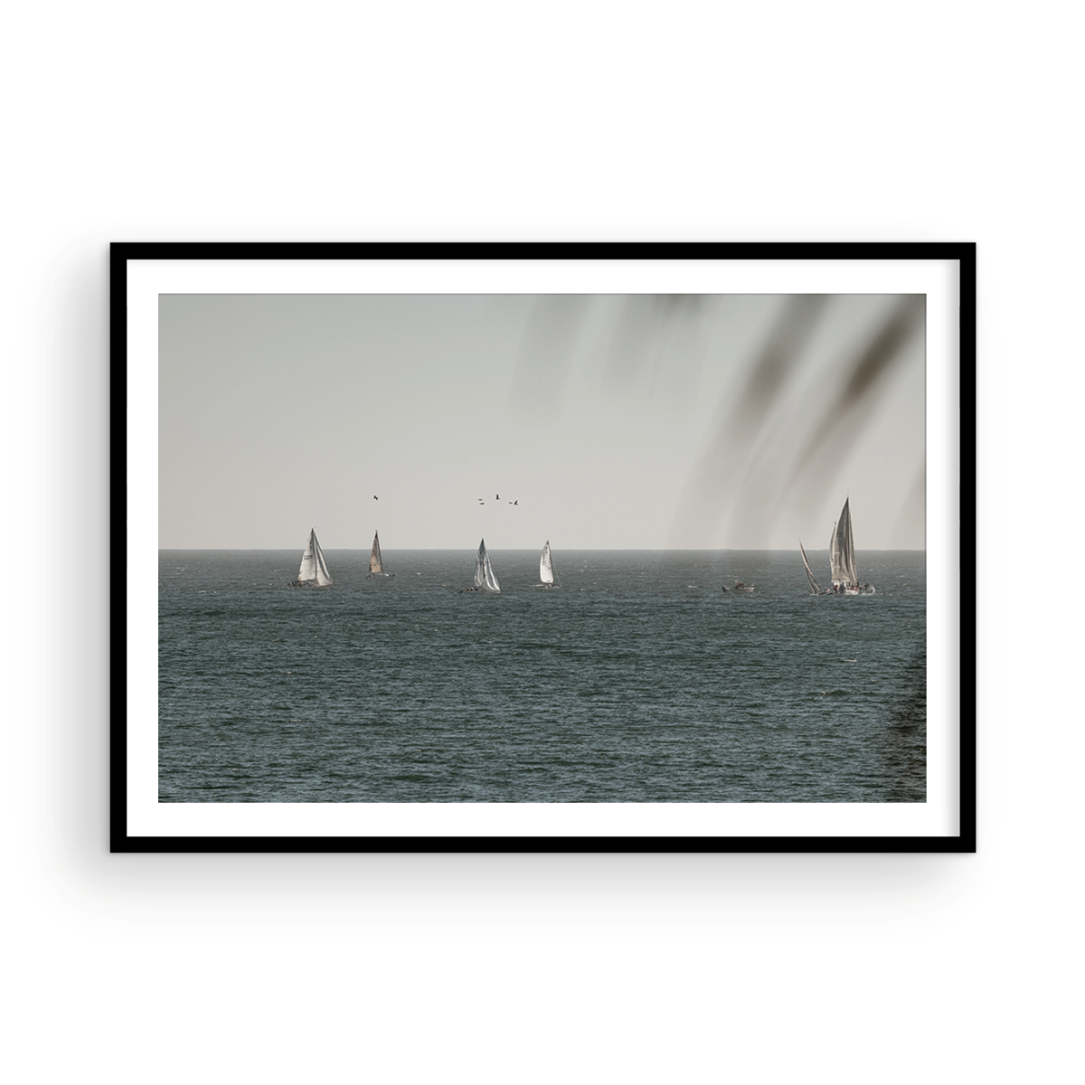 Dana Point, Three