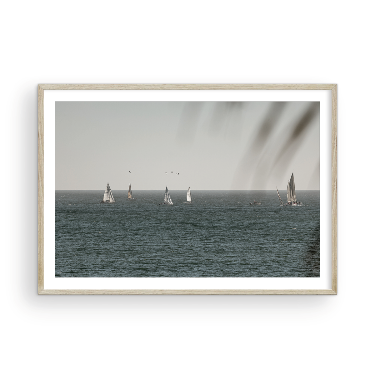 Dana Point, Three