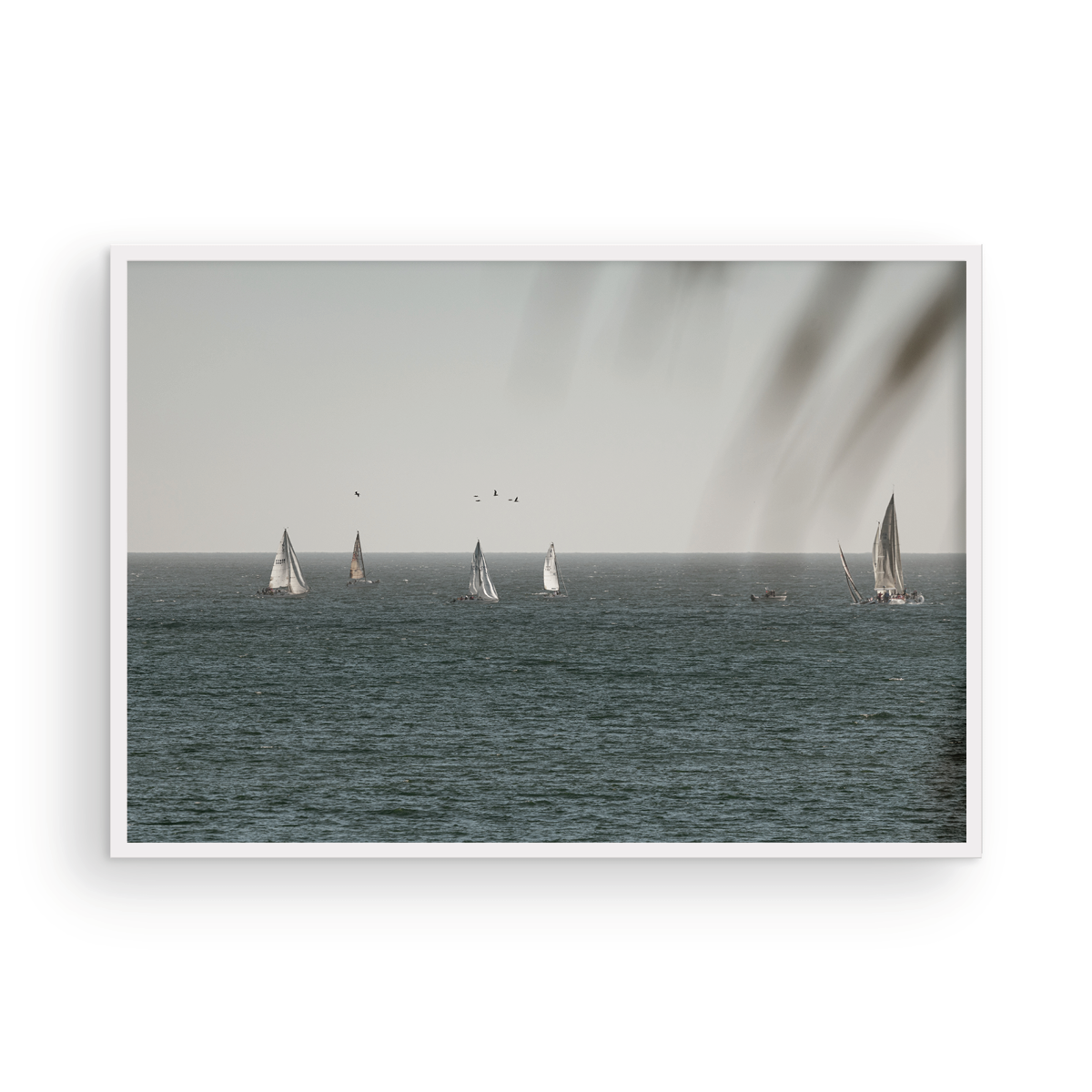 Dana Point, Three