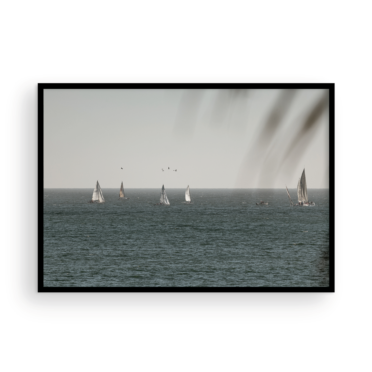 Dana Point, Three
