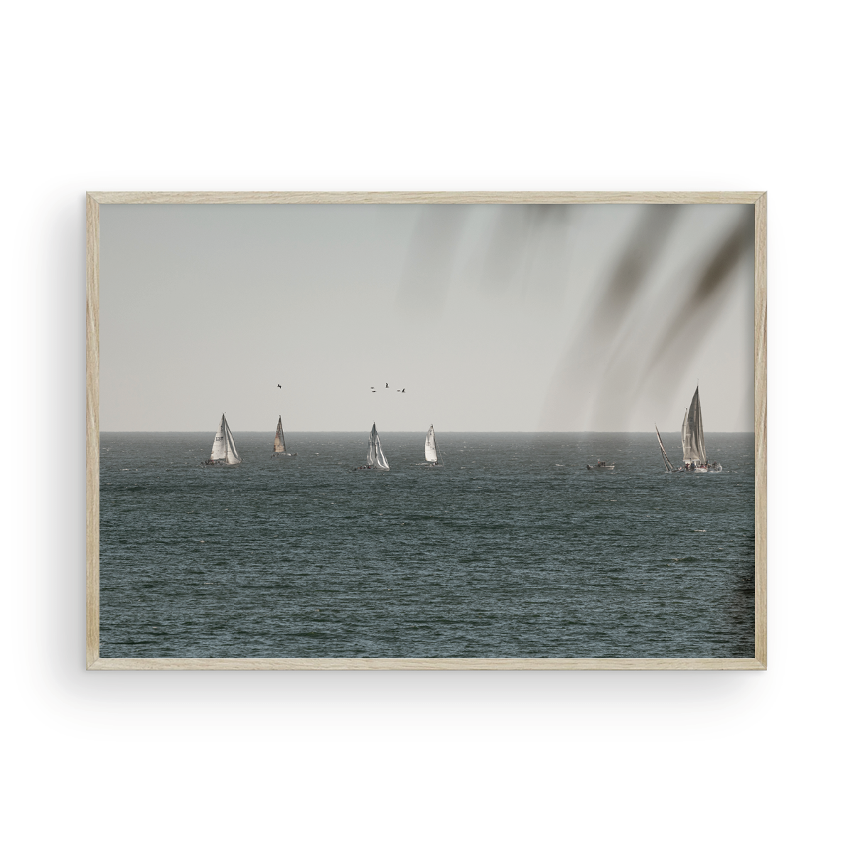 Dana Point, Three