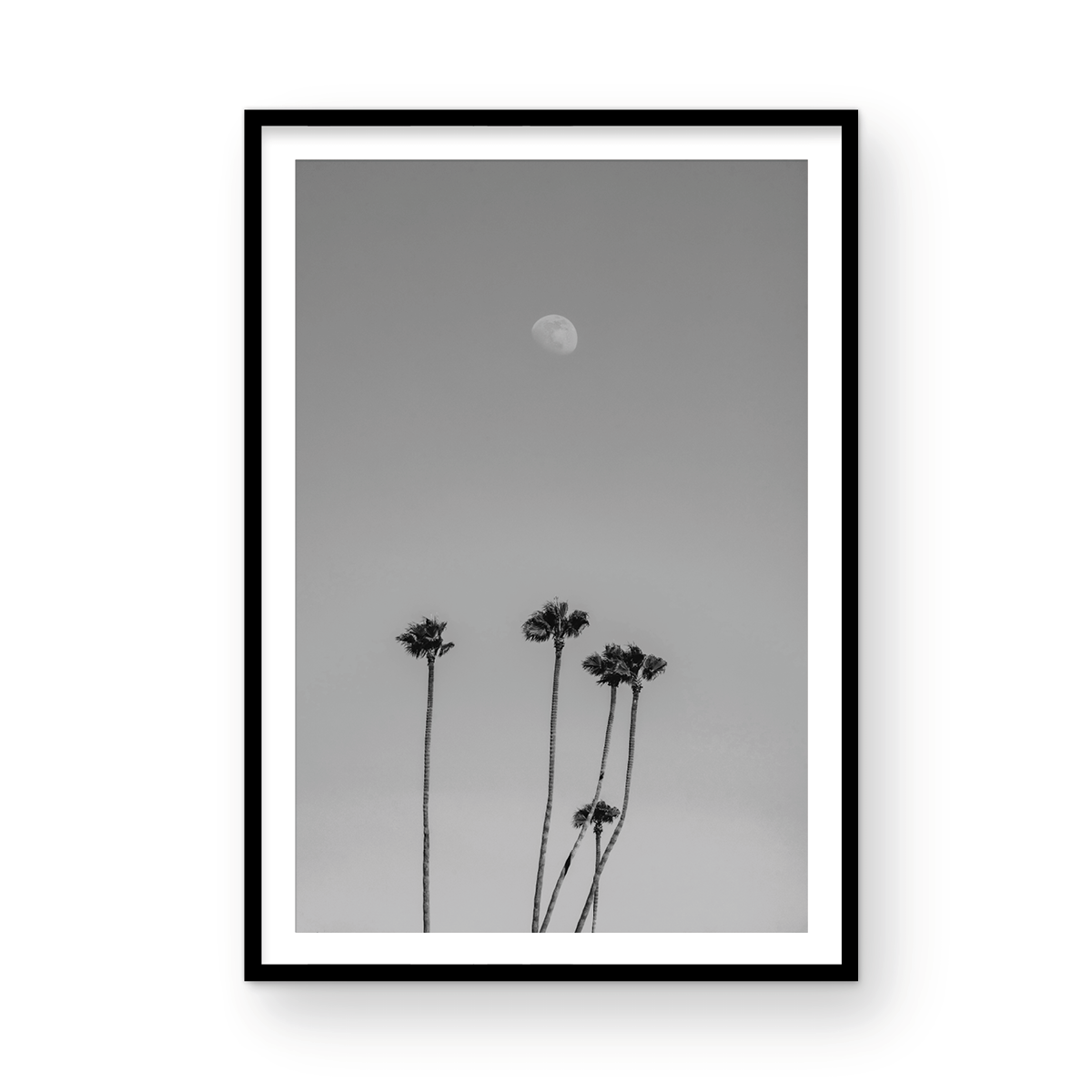 Moonrise, Three: Monochrome
