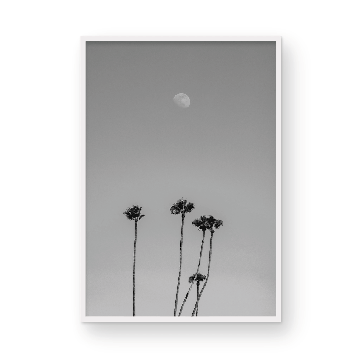 Moonrise, Three: Monochrome
