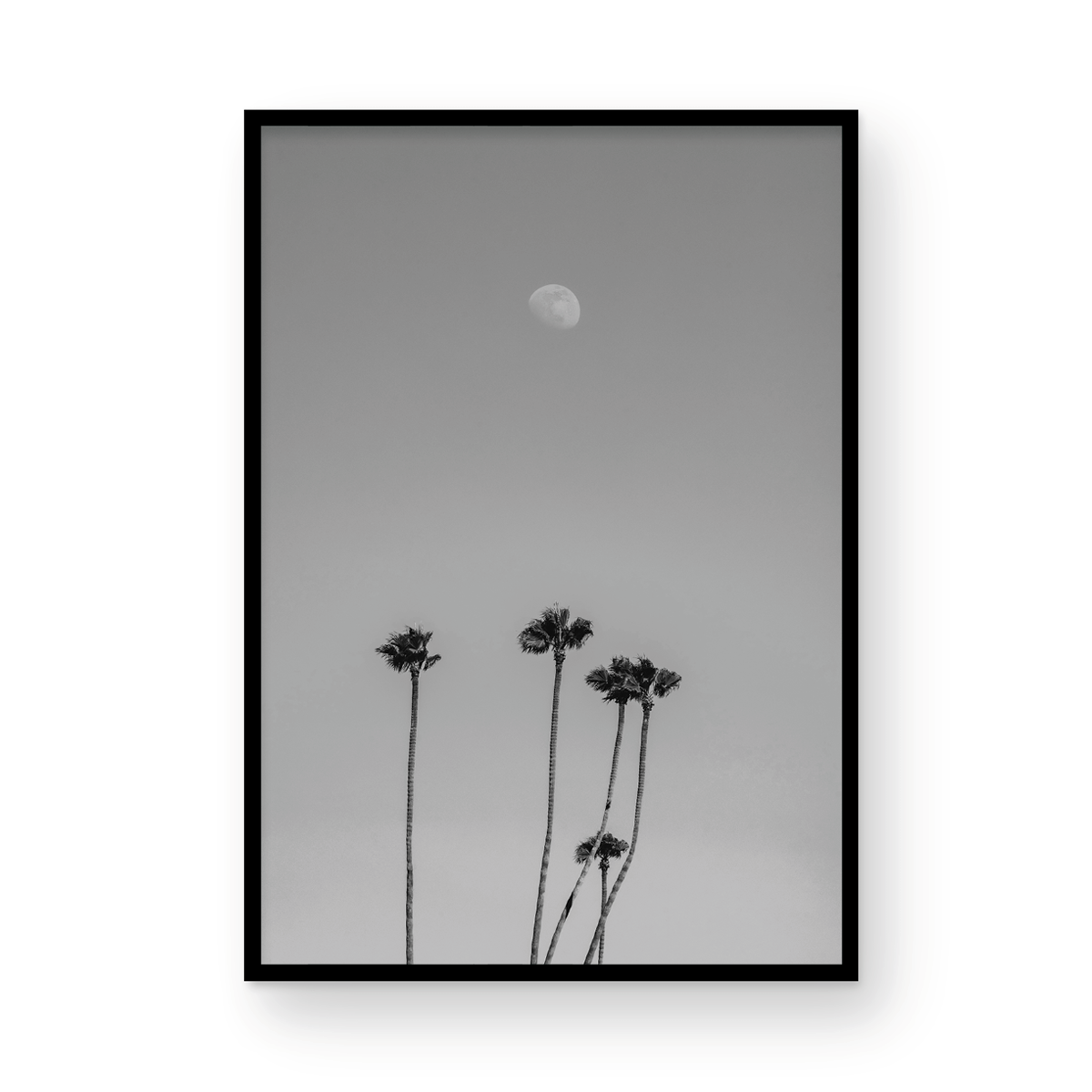 Moonrise, Three: Monochrome