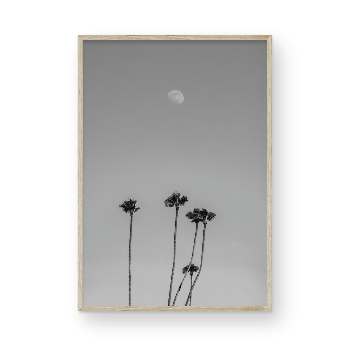 Moonrise, Three: Monochrome