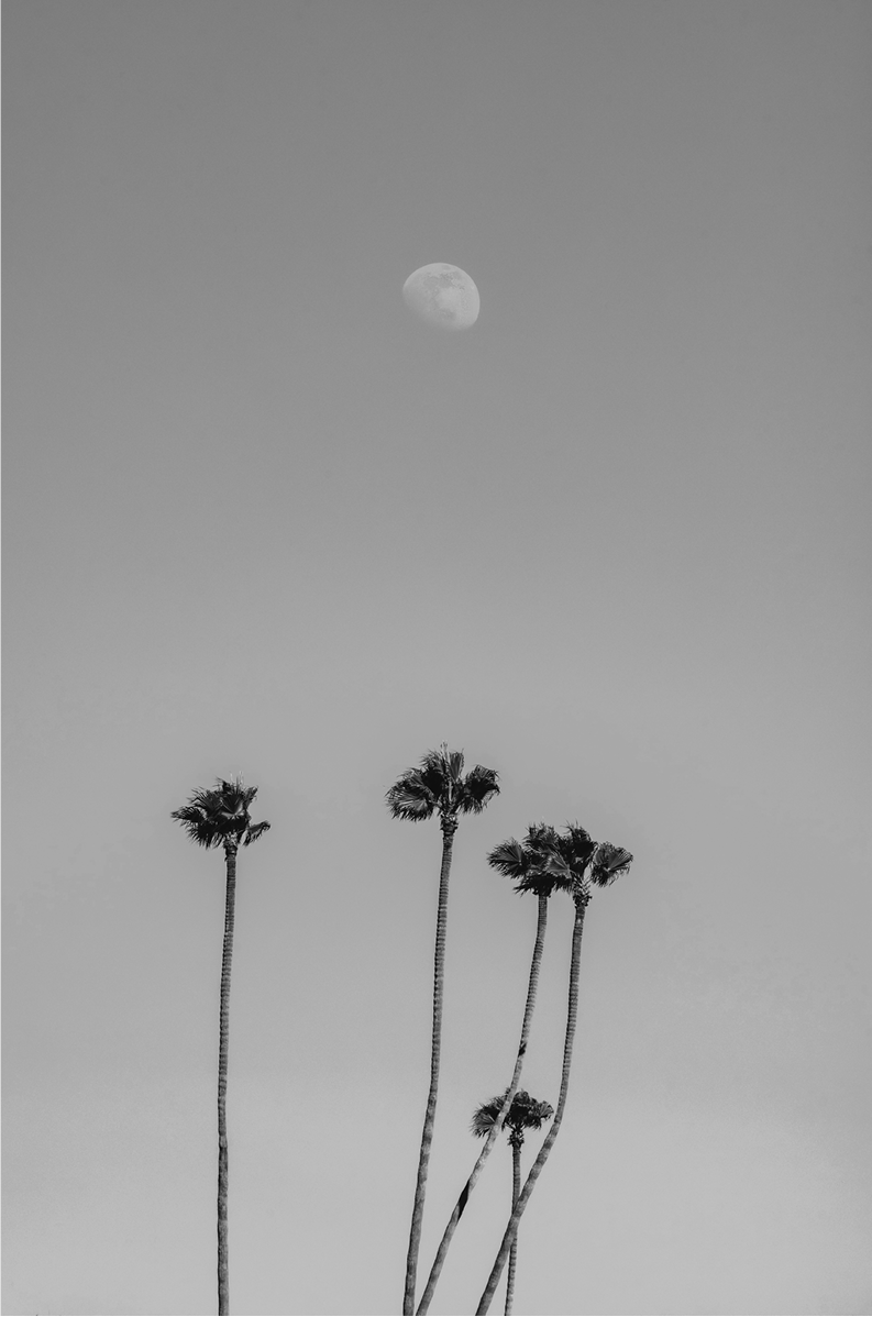 Moonrise, Three: Monochrome