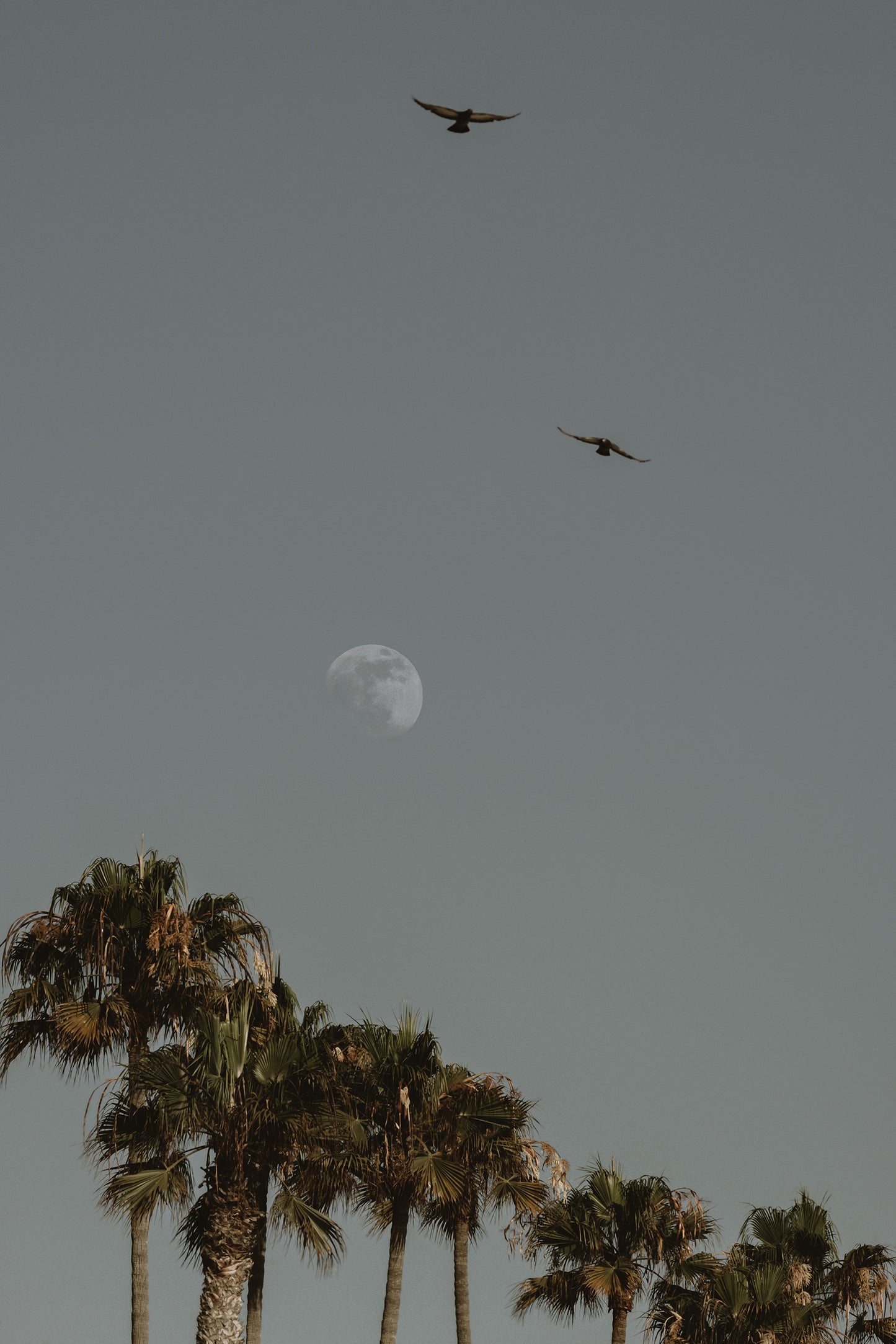 Moonrise, Six